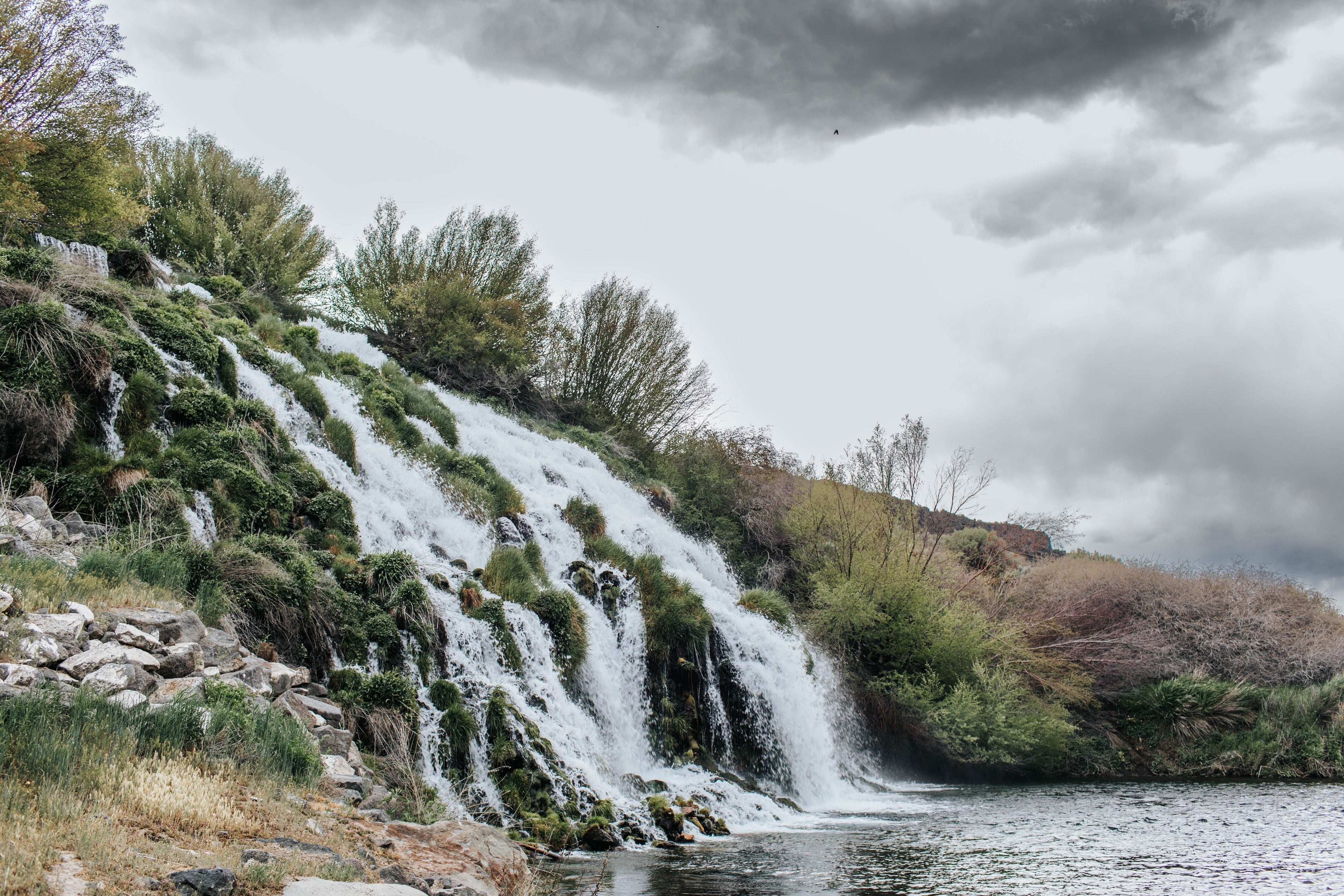 Meet Our Partner: Riverence Farms