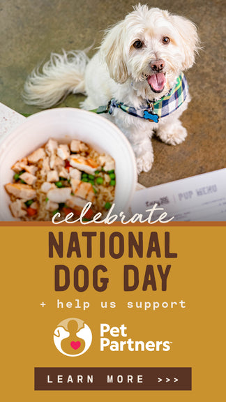 Celebrate National Dog Day at Lazy Dog