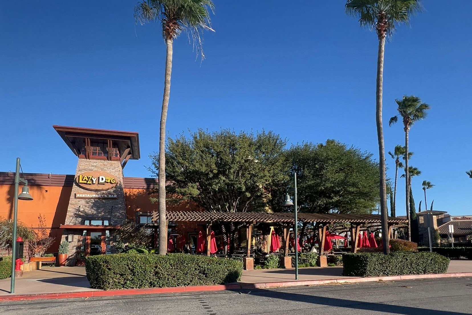 Restaurant exterior with palm trees and clear blue sky